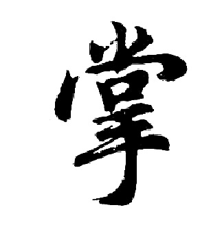 胡问遂写的掌