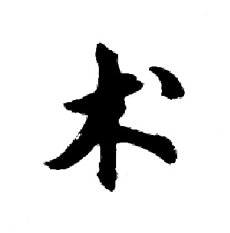 胡问遂写的术