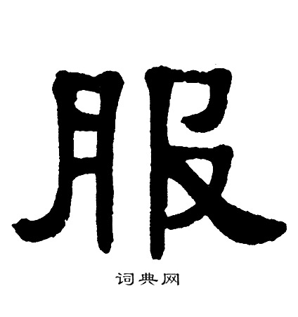 单晓天写的服