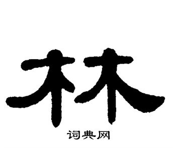 单晓天写的林