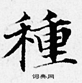 赵孟頫写的種