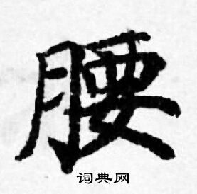 善见律写的腰