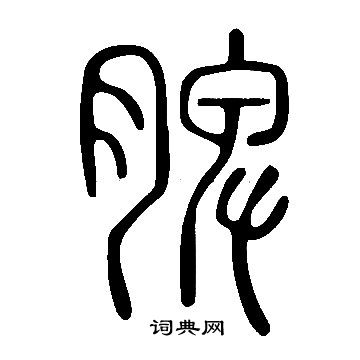 说文解字写的脾