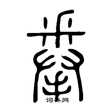 说文解字写的拳