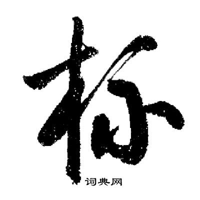启功写的杯