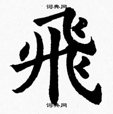 杨永健写的飛