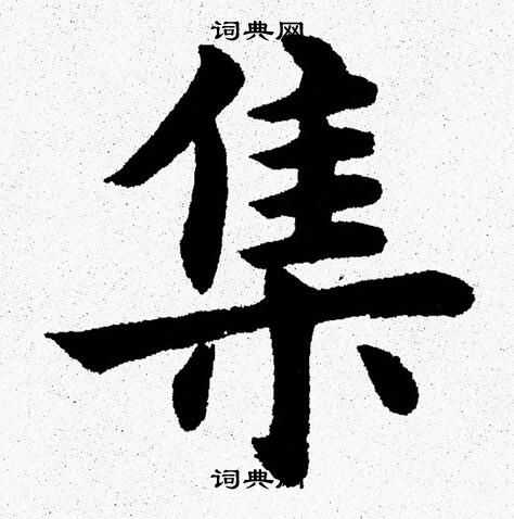 杨永健写的集