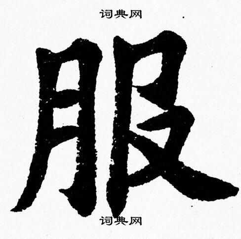 杨永健写的服