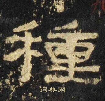 张迁碑写的種