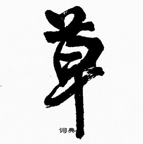 周慧珺写的草