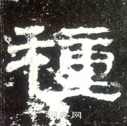 史晨碑写的種