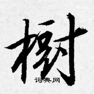 唐寅写的樹