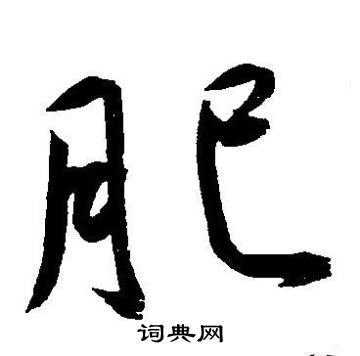 王宠写的肥