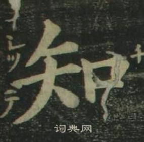 姜立纲四体千字文中知的写法