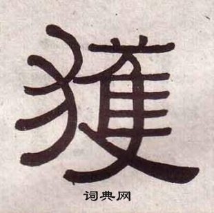 黄葆戉千字文中獲的写法