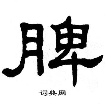 单晓天写的脾
