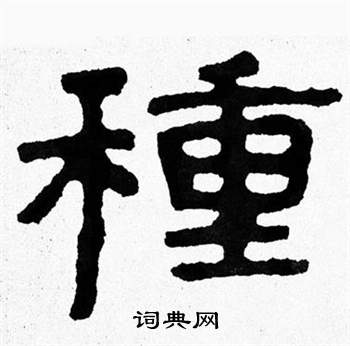 泰山经石峪写的種