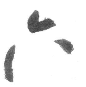 启功临八大山人荷上花歌帖中六的写法