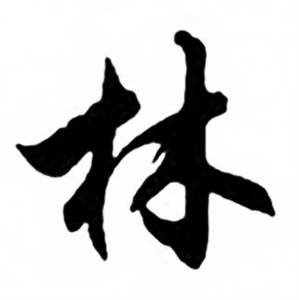 任政兰斋宋词行书帖中林的写法