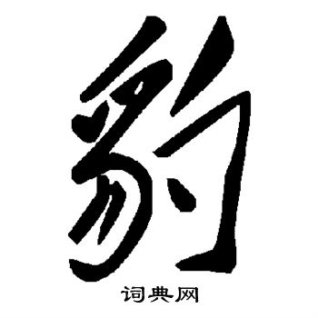 豹