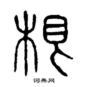 说文解字写的根