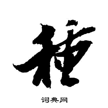 陈献章写的種