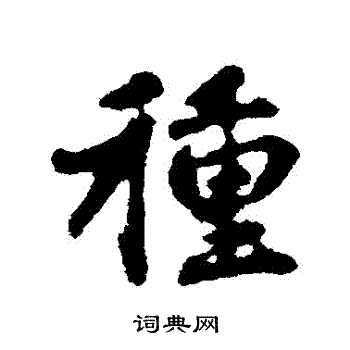 赵孟頫写的種