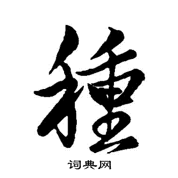 赵孟頫写的種