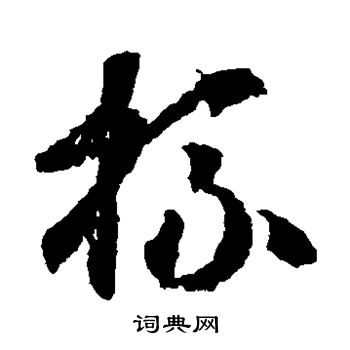 蒋善进写的杯