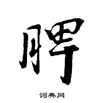 李建中写的脾