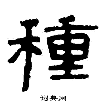 泰山金刚经写的種
