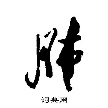 近人写的肺