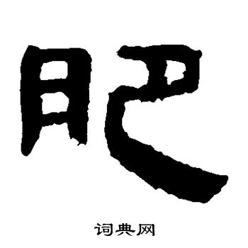 马王堆帛书写的肥