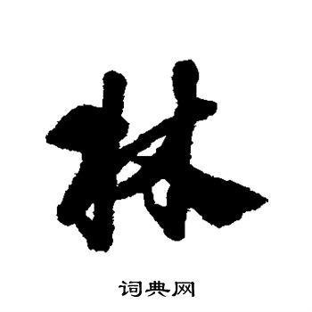 赵构写的林
