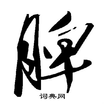 脾