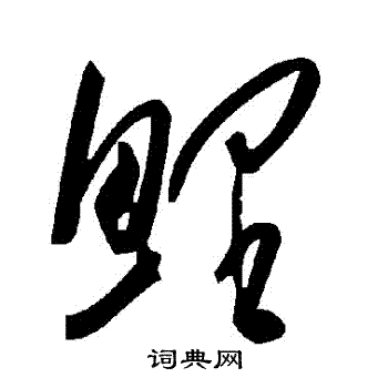鯉