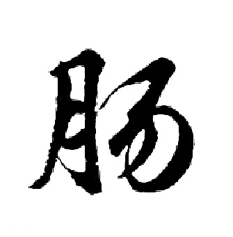 胡问遂写的肠