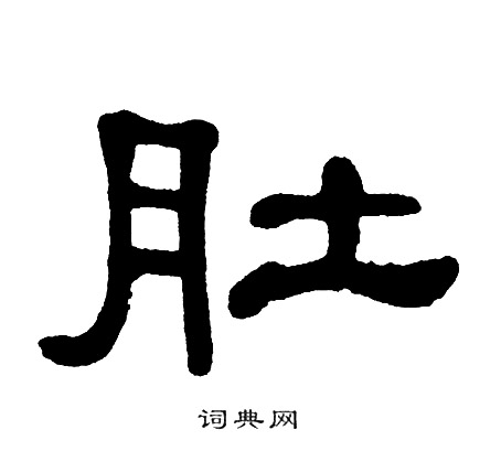 单晓天写的肚