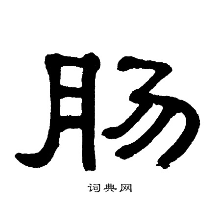 单晓天写的肠
