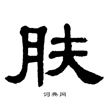 单晓天写的肤