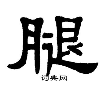单晓天写的腿