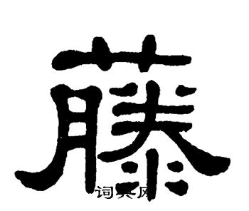 单晓天写的藤