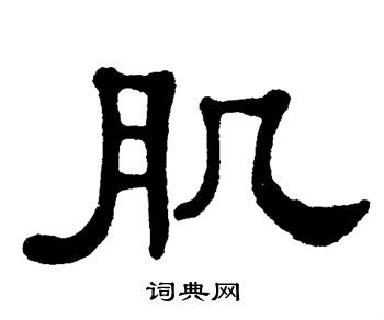 单晓天写的肌