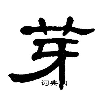 单晓天写的芽