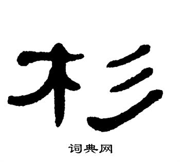 单晓天写的杉