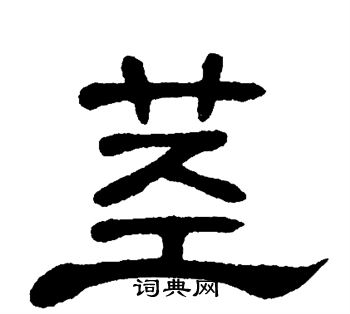 单晓天写的茎