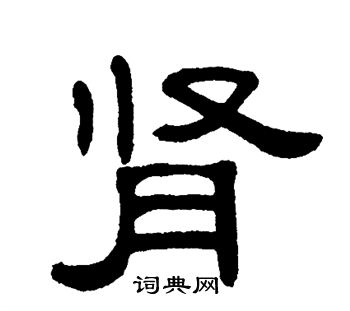 单晓天写的肾