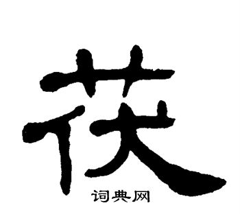 单晓天写的茯