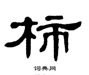 单晓天写的柿
