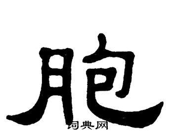 单晓天写的胞